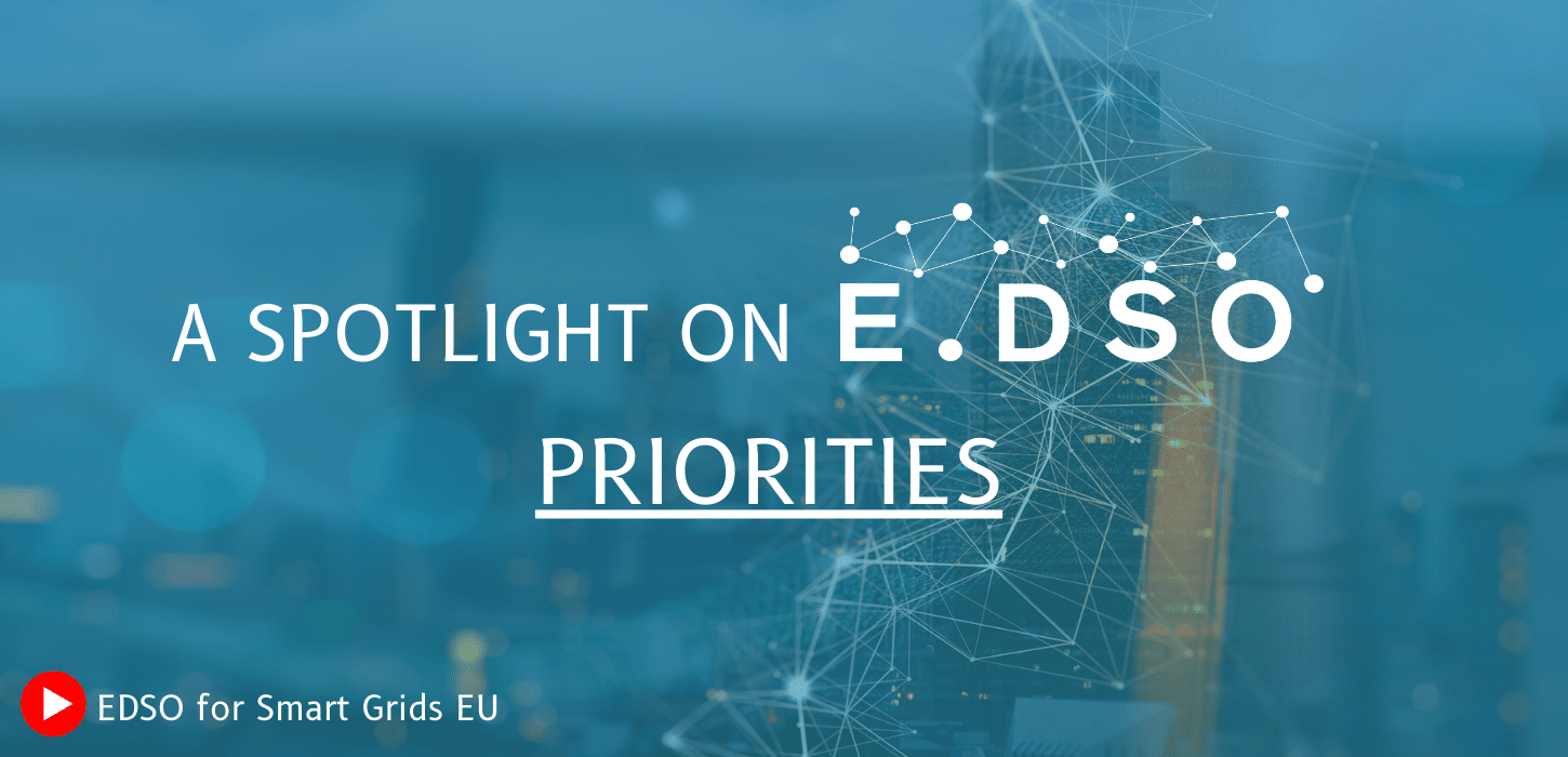 A Spotlight on E.DSO Priorities E.DSO