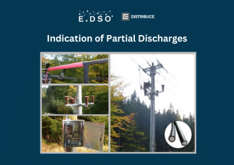 12. indication of partial discharges