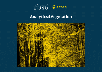 2. analytics4vegetation