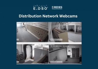 6. distribution network webcams