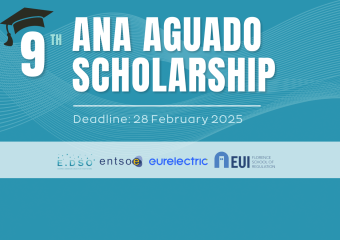 9th ana aguado scholarship (1)