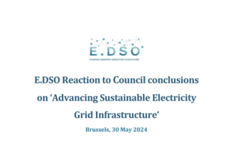 E.DSO Reaction to Council conclusions 30May2024