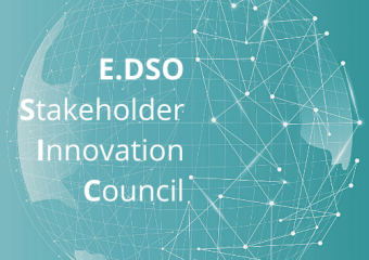 E.DSO-SIC-Logo