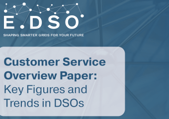 customer service overview paper