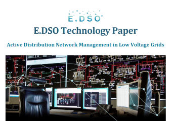 e.dso technology paper active distribution network management in low voltage grids