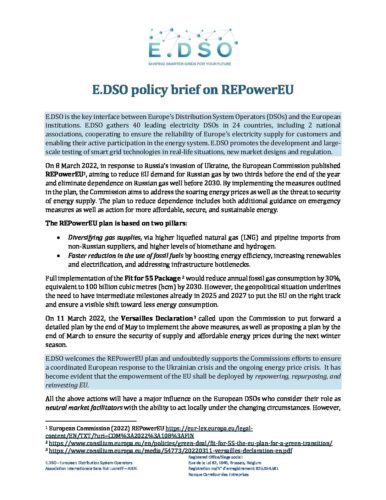 E.DSO policy brief on REPowerEU