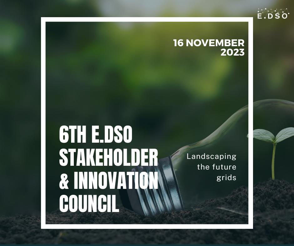 6th E.DSO Stakeholder & Innovation Council "Landscaping the future grids & customers. How to define innovation, regulation, and expectations?"  
