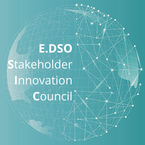 4th E.DSO Stakeholder and Innovation Council  “The Thin Veil of Renewal: Building the next generation grid”