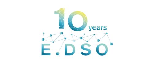 E.DSO 10-Year Anniversary & 3rd Stakeholder and Innovation Council