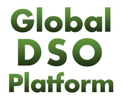 2nd Global Platform of Leading Electricity Distribution Operators  “Setting the grid to net zero”
