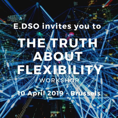 E.DSO Workshop  The Truth about Flexibility