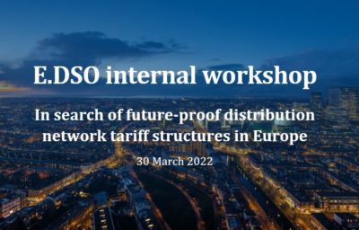  E.DSO organised its 3rd Projects in the Spotlight event