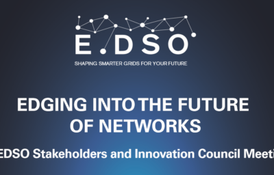 1st E.DSO Stakeholders and Innovation Council