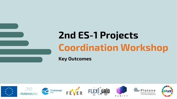 Key Outcomes of the 2nd Platone Coordination Workshop 