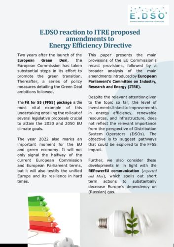 E.DSO reaction to ITRE proposed amendments to Energy Efficiency Directive
