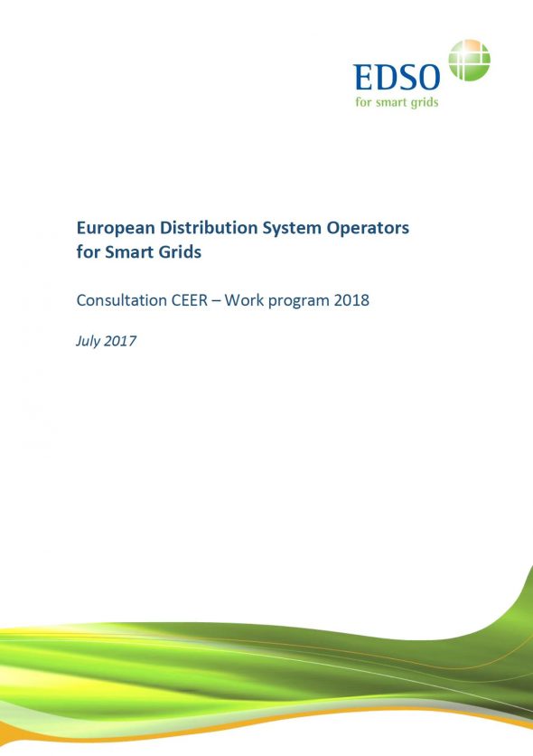 EDSO Response to the CEER Consultation on its Work program 2018