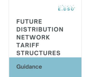 Guidance on Distribution Network Tariff Structures