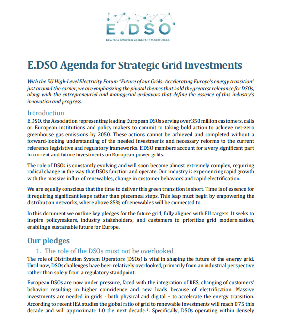 E.DSO Agenda for Strategic Grid Investments