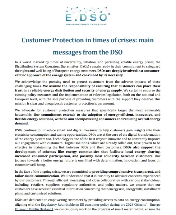 Customer Protection in times of crises: main messages from the DSO