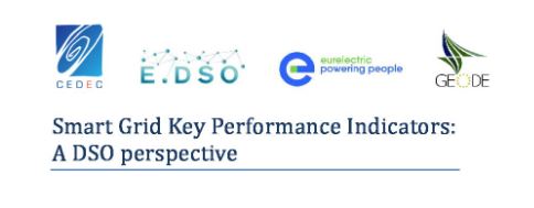 Smart Grid Key Performance Indicators: A DSO perspective