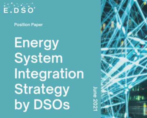 Energy System Integration Strategy by DSOs