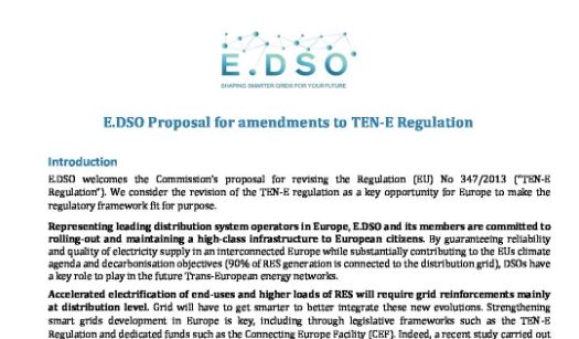 E.DSO suggested amendments to TEN-E Regulation