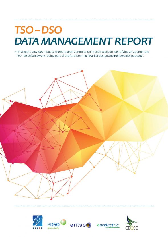 TSO – DSO Management Report