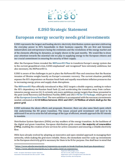E.DSO strategic statements on grid investments